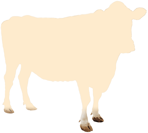 eid_cow_current_progress
